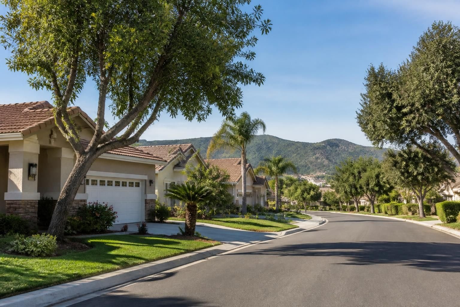 Clean suburban neighborhood with mature trees in San Marcos